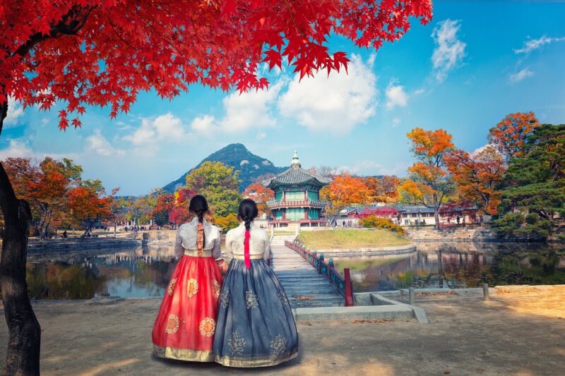 韓国 韓服と紅葉の写真