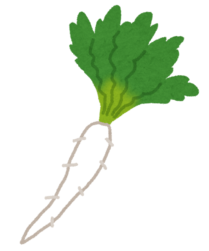 七草・すずしろのイラスト