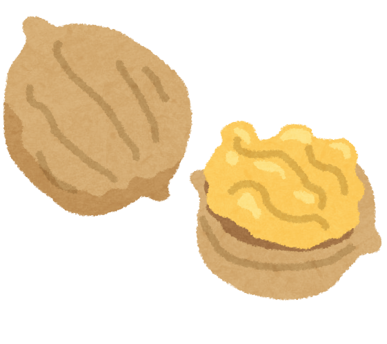くるみのイラスト